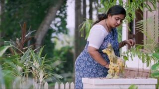 Tamil Lola Cottage Uncensored Sex Nmxseries